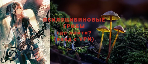 мескалин Пестово