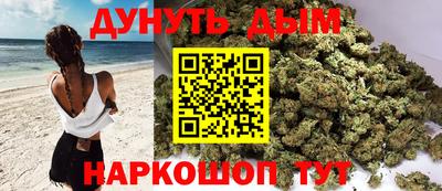 шишки Лесосибирск