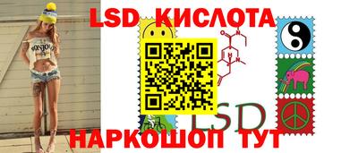 шишки Лесосибирск