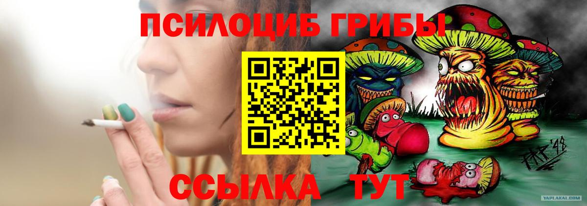 Галлюциногенные грибы мицелий Уварово